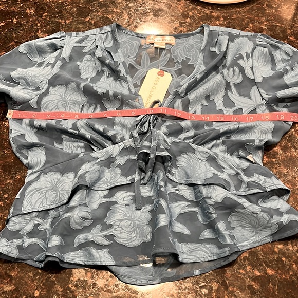 NWT BOG Collective blouse. Sheer clipped jacquard- deep turquoise Large Juniors - Picture 7 of 8